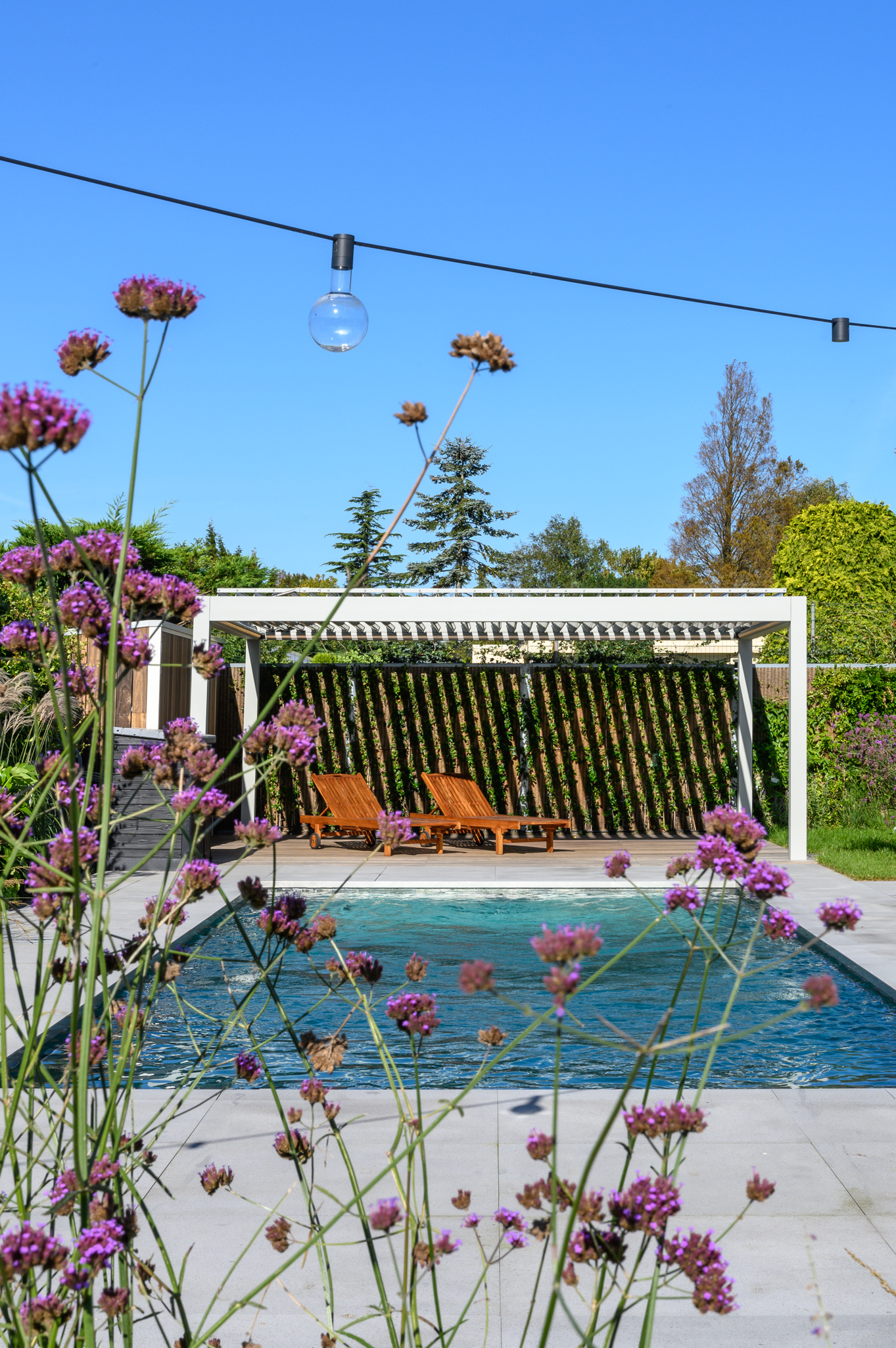 Design-tuin-met-terrasoverkapping-en-zwembad